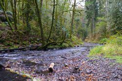 Beaver Falls Hike - Hiking in Portland, Oregon and Washington