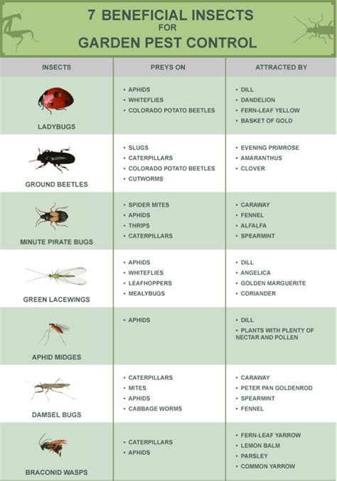 The Benefits of Biological Pest Control in Agriculture - HubPages