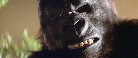 KING KONG (1976) Reviews and Collector's Edition Blu-ray news - MOVIES and MANIA