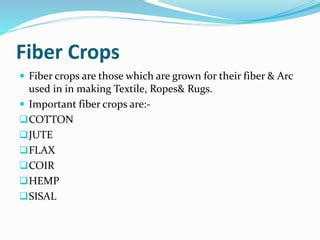 Fiber crops | PPT