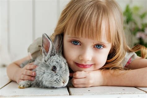 The 5 Most Child-Friendly Rabbit Breeds - Kid Friendly Pets