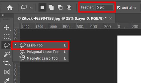 Photoshop Lasso Tool Guide – Select Objects Easily