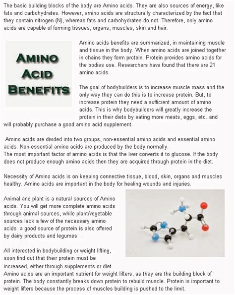 Amino acids benefits: what role in bodybuilding?The Bodybuilder