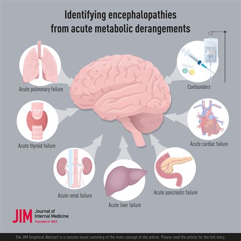 Identifying encephalopathies from acute metabolic derangements - Wijdicks - 2022 - Journal of ...