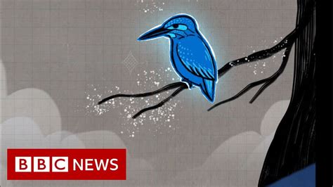 How a kingfisher helped reshape Japan's bullet train - BBC News - YouTube