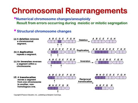 PPT - Medical Genetics PowerPoint Presentation - ID:2212106