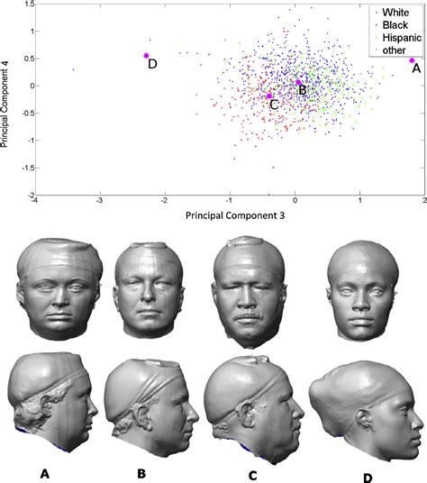 [PDF] Head-and-face shape variations of U.S. civilian workers ...