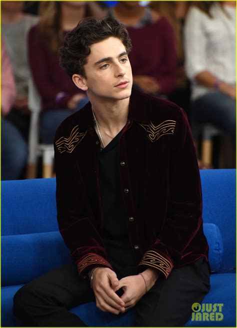 Timothee Chalamet Is Basically Steve Carell's Biggest Fan!: Photo ...