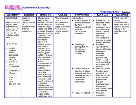 30 Nursing Care Plan | Example Document Template