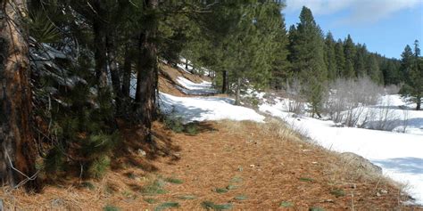 Old Blewett Pass Highway Ski Trails | Outdoor Project