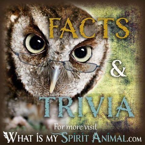 Animal Facts | Animal Trivia | Animal Movies & Songs | Famous Animals