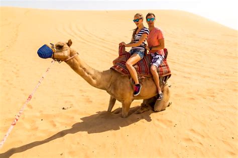 Camel Ride in Dubai -Everything You Should Know About It – Dubai Tour ...