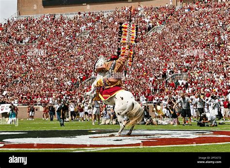 September 03, 2011: Florida State Seminoles mascot Chief Osceola plants ...