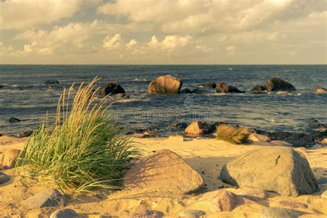 Baltic Sea Coast on the Islands of Estonia Stock Photo - Image of calm ...