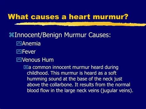 PPT - Heart Murmurs & Valvular Heart Disease PowerPoint Presentation - ID:445697