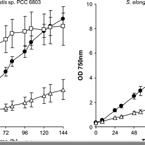 Growth curves of Synechocystis sp. PCC 6803 and Synechococcus elongatus ...