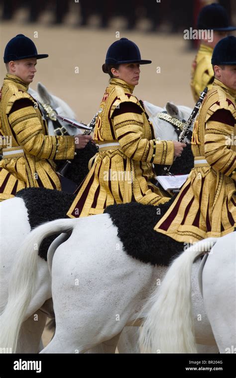 Mounted Bands of the Household Cavalry. "Trooping the Colour" 2010 ...