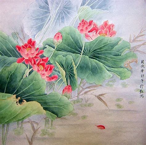 Chinese Lotus Painting Lotus 2405004, 66cm x 66cm(26〃 x 26〃)