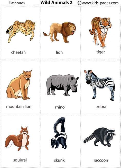 Wild Animals 2 flashcard | Fotos de animais selvagens, Flashcards, Aulas de inglês para crianças