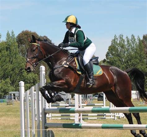 Georgia and Pixie, the Jumping Standardbred - Horse Lover's Math