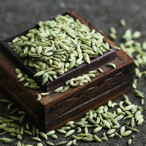 Fennel Seeds - The Silk Road Spice Merchant