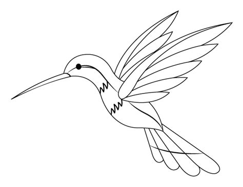 Printable Hummingbird Coloring Page