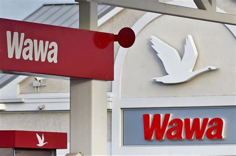 Download High Quality wawa logo sign Transparent PNG Images - Art Prim ...