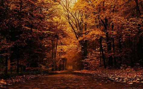 Autumn Wallpapers Free - Wallpaper Cave