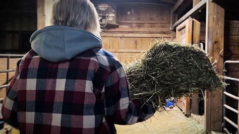 Exploring Ohio: Angels Haven Horse Rescue