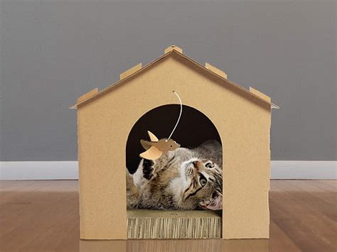 Best 6 Cardboard Cat Scratcher House For Big And Small Cats