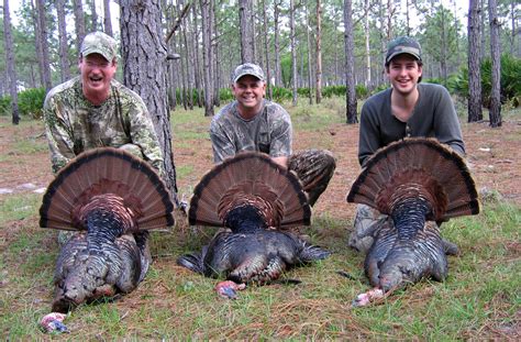 Osceola Turkey - Gunners Taxidermy