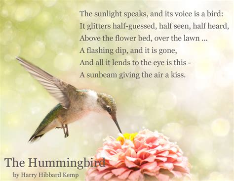 Hummingbird Images And Quotes Love. QuotesGram