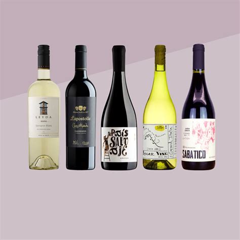 Chilean Wine: What to Know and 5 Bottles to Try