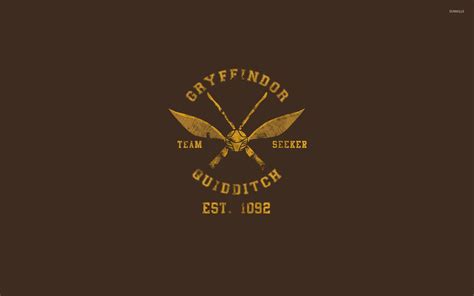 Harry Potter Quidditch Wallpapers - Top Free Harry Potter Quidditch ...