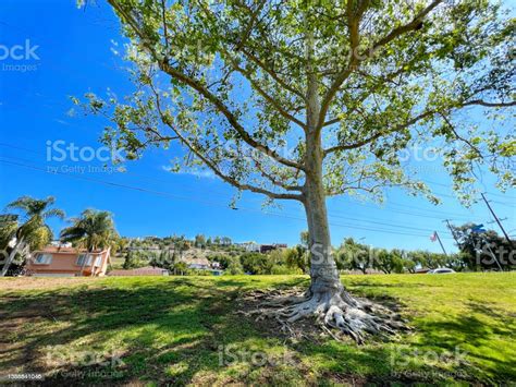 Beautiful City Of Orange In California Stock Photo - Download Image Now ...