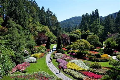 Vancouver to Victoria and Butchart Gardens Tour | Compare Price 2024