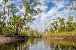 Welcome to Florida Paddle Notes - On Otter Creek