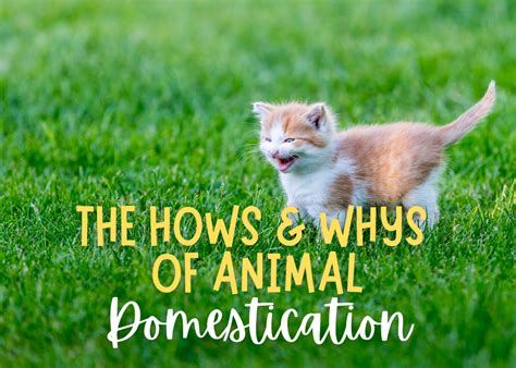 The Hows and Whys of Animal Domestication - Terrebonne Parish Library System