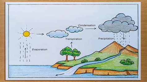 How to draw Water Cycle of a School Project - YouTube