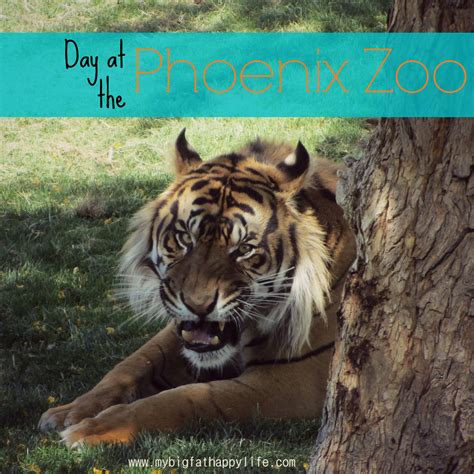 Day at the Phoenix Zoo - My Big Fat Happy Life