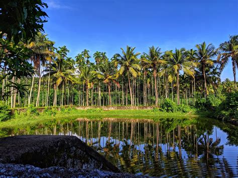 Best Time to visit Kerala in 2021: Knowing God's Own Country