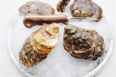 Blue Point Oysters | Oysterology Online — Pangea Shellfish Company | Oyster and Shellfish Wholesale