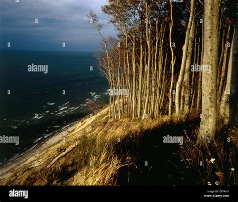 Wolin, poland hi-res stock photography and images - Alamy