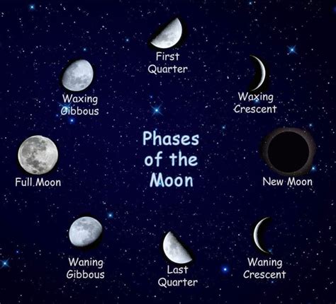 Different phases of the Moon. : r/coolguides