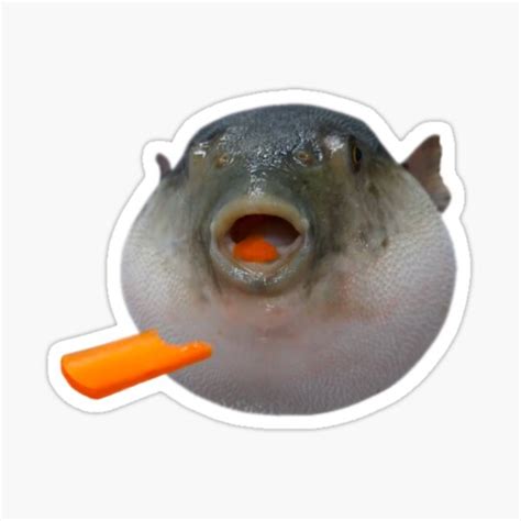 "Pufferfish Eating a Carrot Meme " Sticker for Sale by Goath | Redbubble