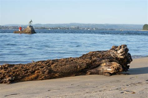 Tauranga Harbour and Entrance from Beach on Mount Maunganui Beach Stock ...