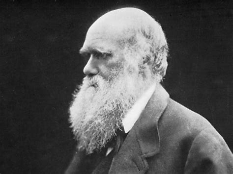 One Good Fact about Charles Darwin | Britannica