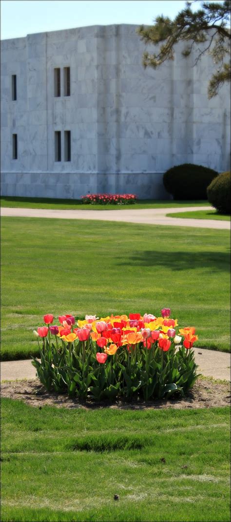 Through Carol's Lens: White Chapel Cemetery