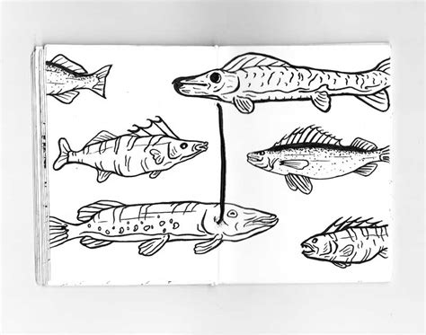 Fishing Sketches | Levi Varner