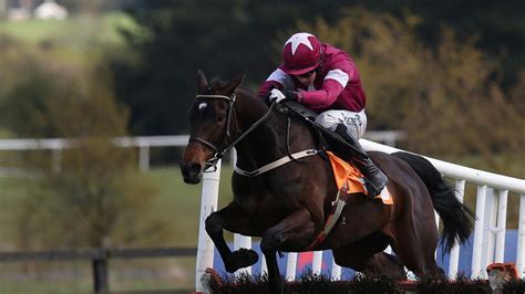 Gordon Elliott welcomes 20 new horses from Willie Mullins | Racing News | Sky Sports